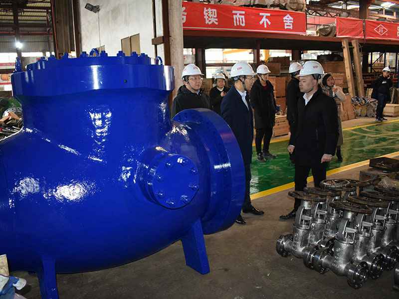 苗市长走访开云官方版网站登录入口-开云online(中国)集团